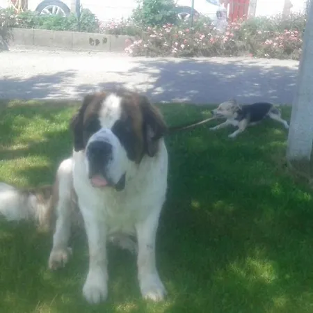 Dom wakacyjny Axuri-alde