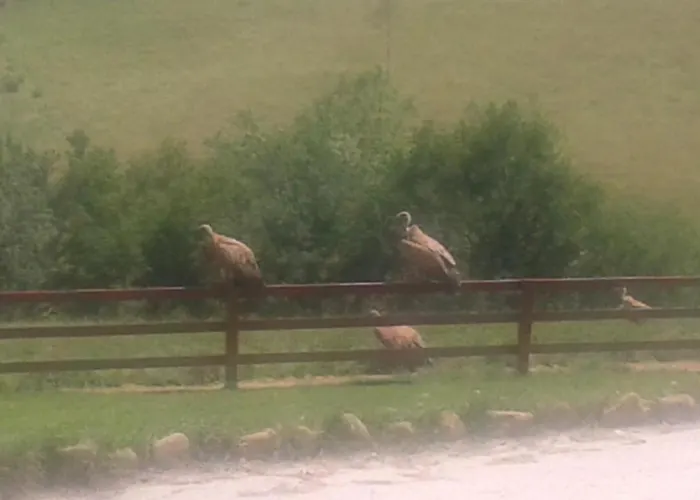 Axuri-alde Feriehus Sare