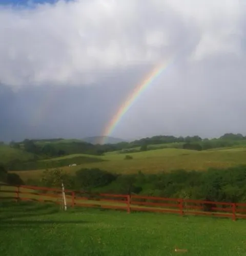 Axuri-alde Feriehus *